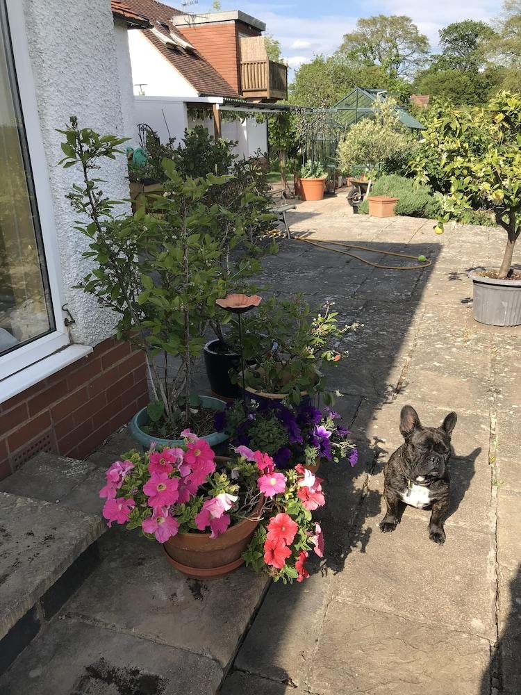 Hotel Shakespeare'S View Stratford-upon-Avon Exterior foto